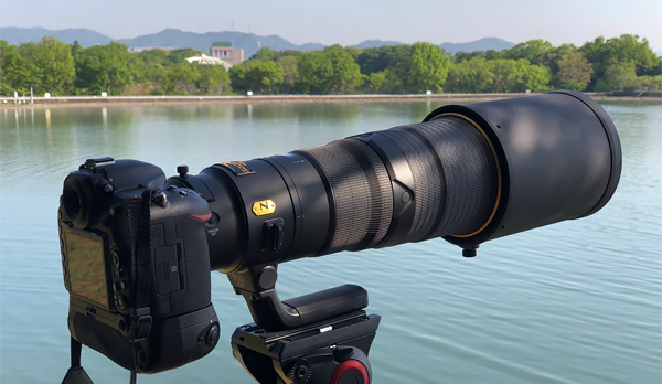 D500_11