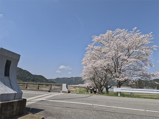 SakuraCycling2026HikamiKakogawaCapture18
