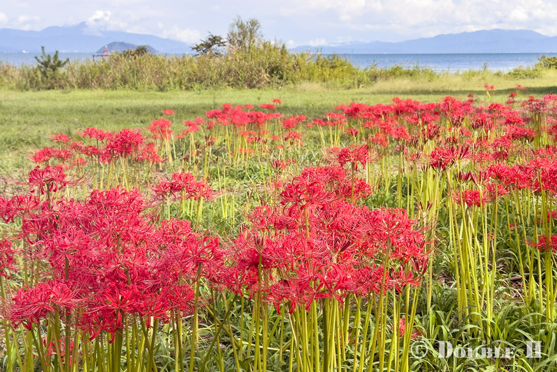 TediousPhoto20251003F