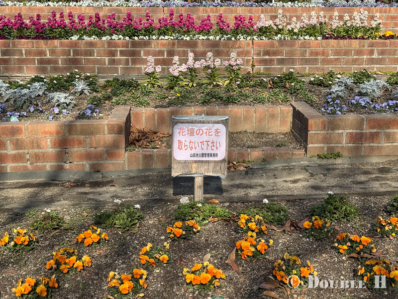 TediousPhoto20260302