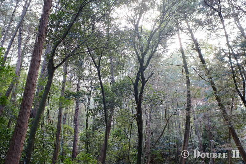 TediousPhoto20240214