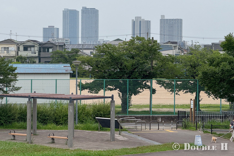 TediousPhoto20260717O