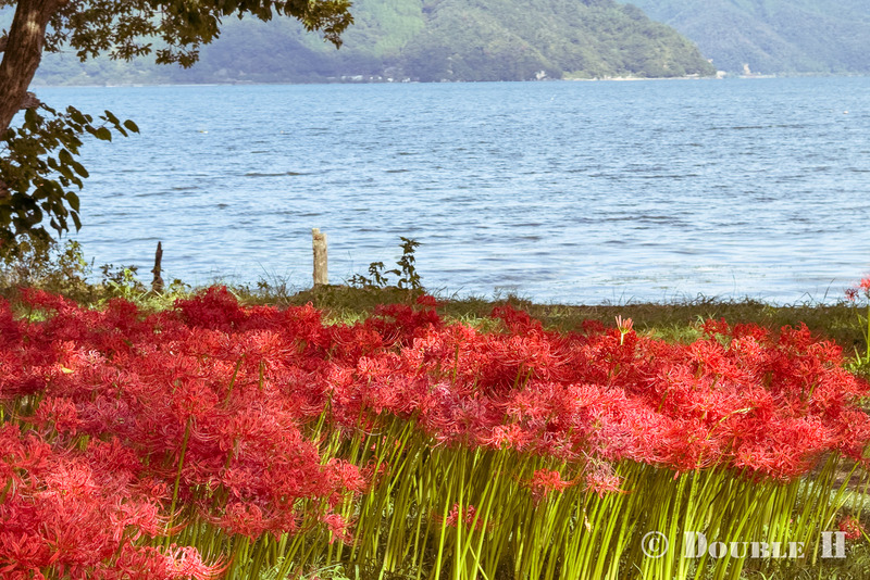 TediousPhoto20251003E