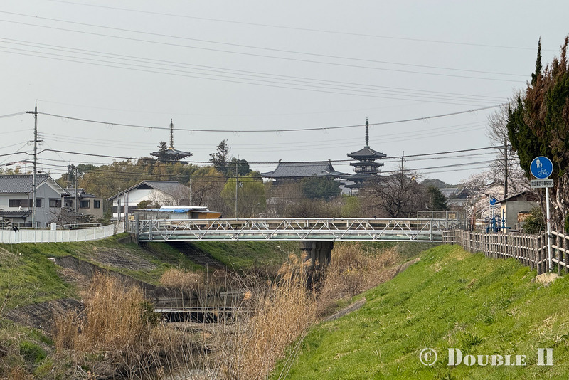 SakuraCycling2026SaboRiver12
