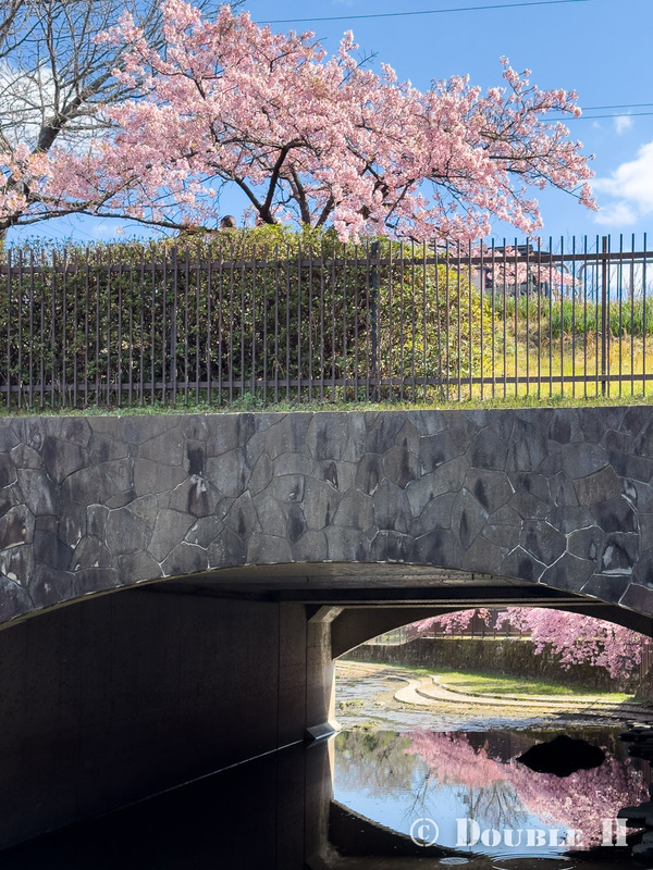 TediousPhoto20260314A