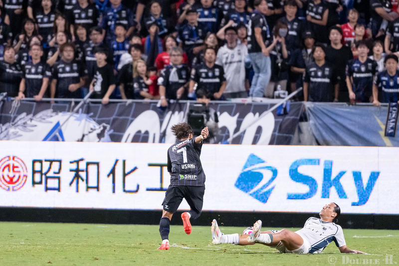 TediousPhoto20241112A