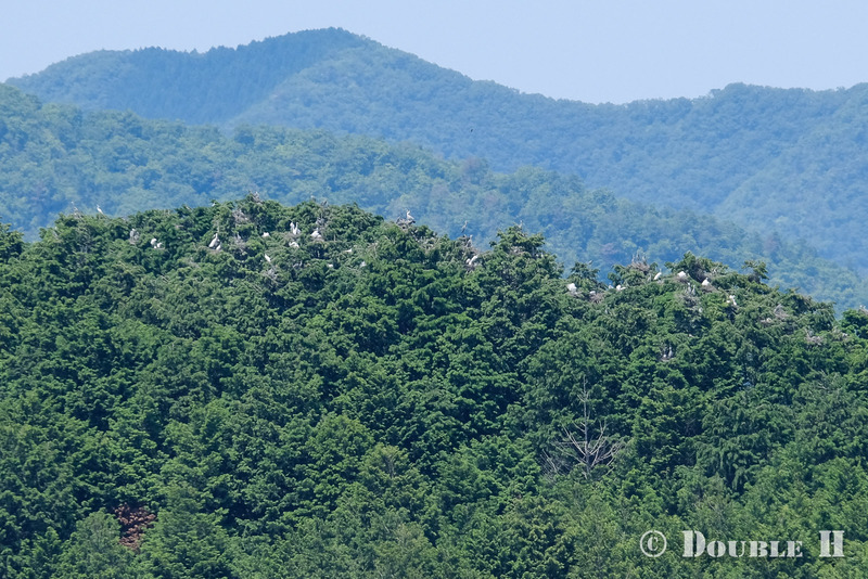 TediousPhoto20240621B