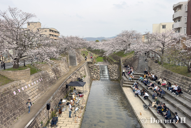 SakuraCycling2026SaboRiver01