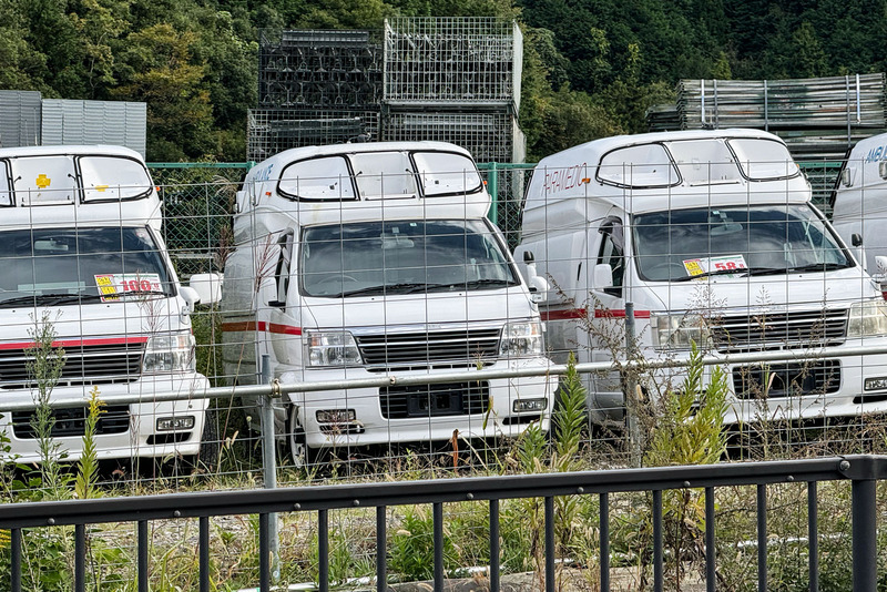 TediousPhoto20241101