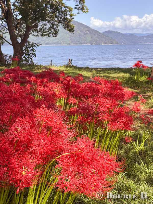 TediousPhoto20251003A