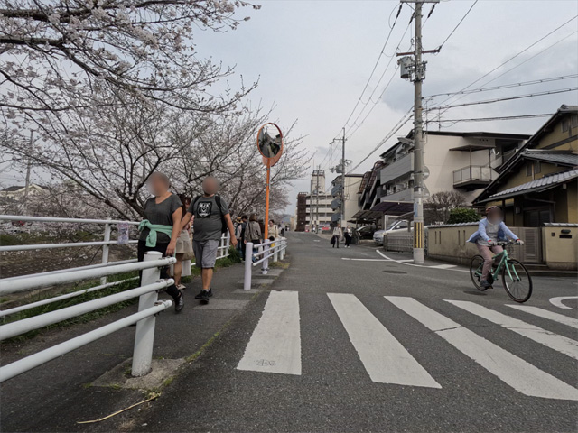 SakuraCycling2026SaboRiverCapture02