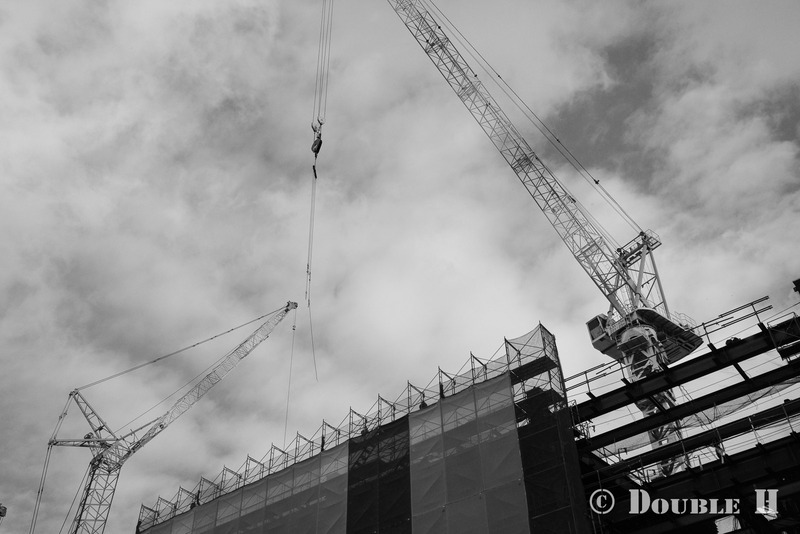 TediousPhoto20240221