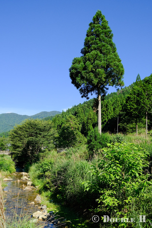 TediousPhoto20240809