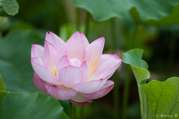 TediousDays20220707_6