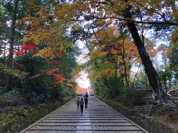 Komyoji20171127G