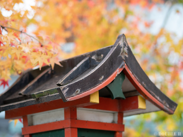 TediousDays20181210_07_4882