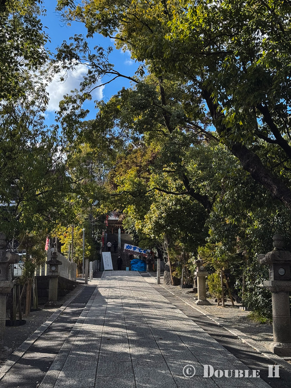 TediousPhoto20260106A