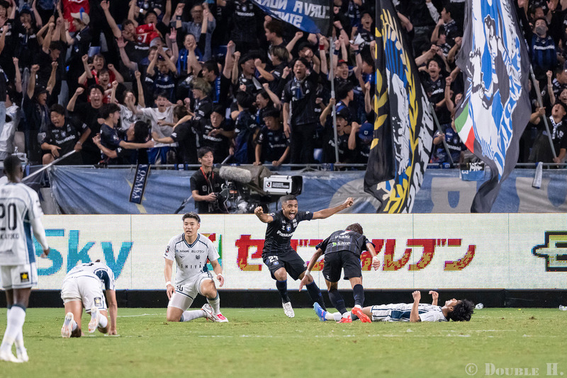 TediousPhoto20241112G