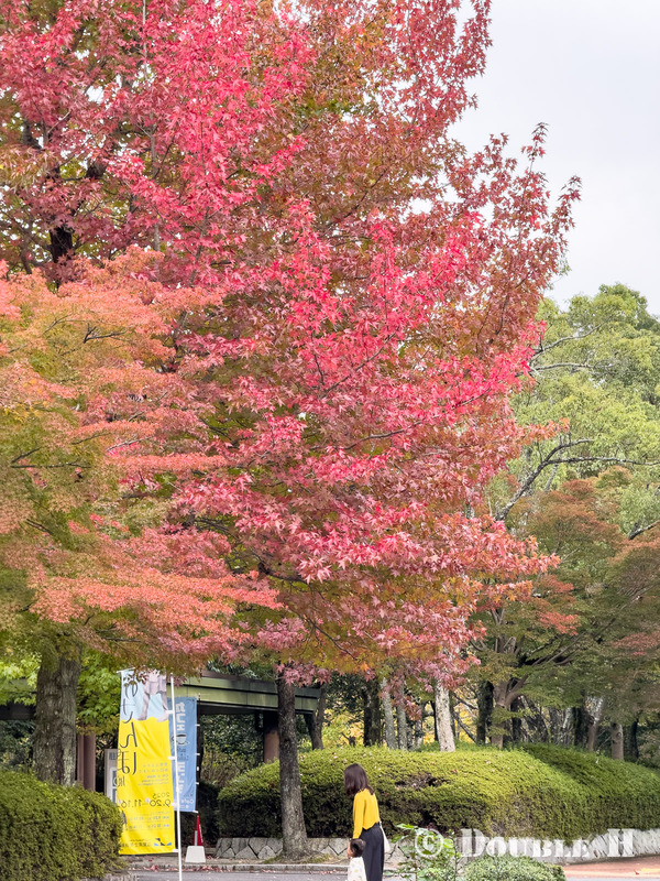 TediousPhoto20251103A