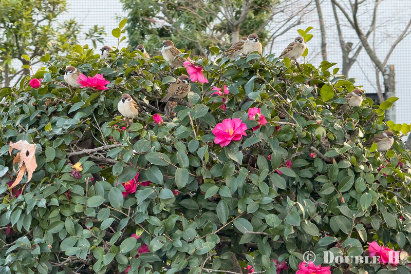 TediousPhoto20260112