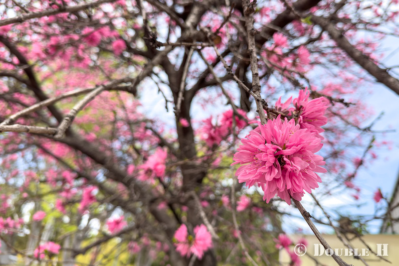 TediousPhoto20260415B