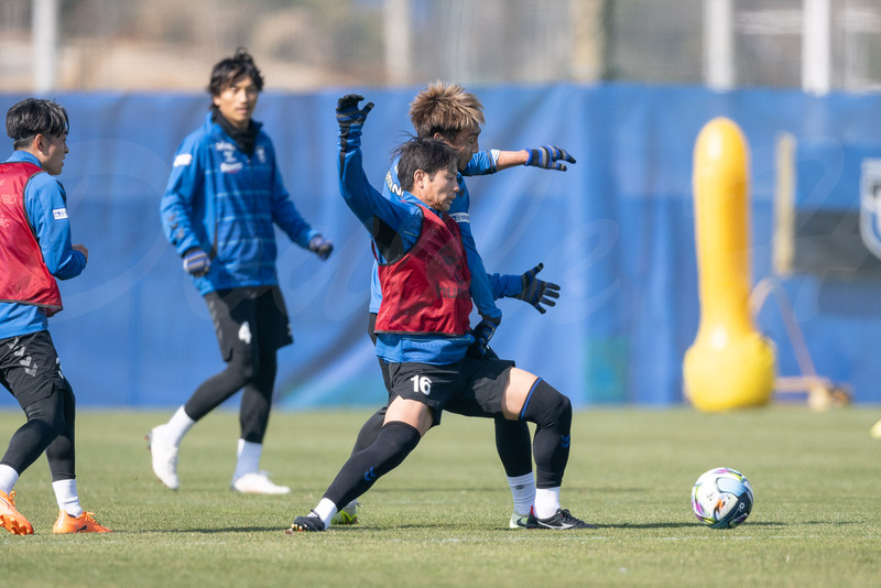 TediousPhoto20260204D