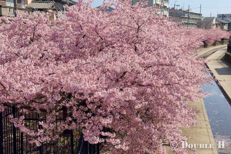 TediousPhoto20260313A