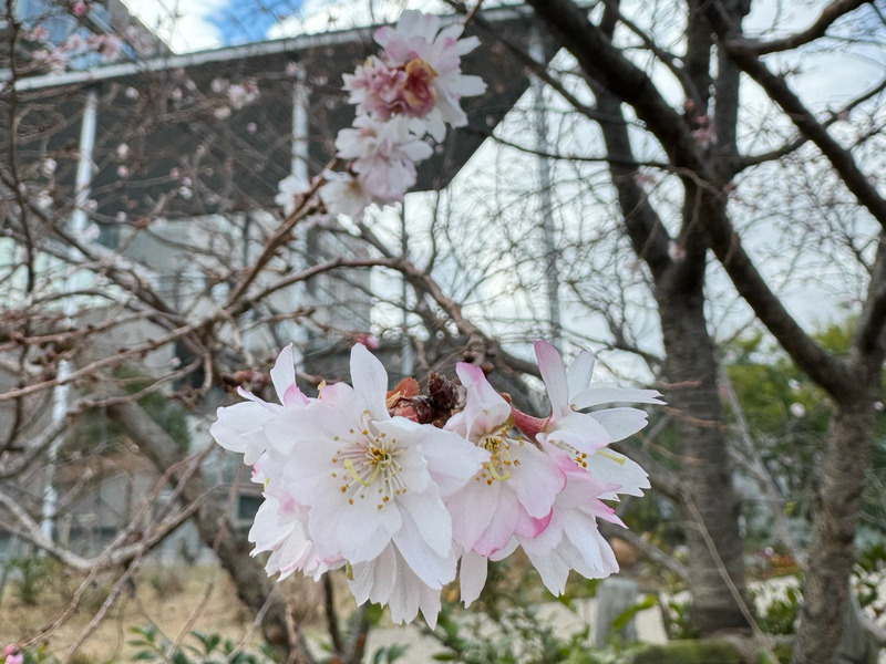 TediousPhoto20240116