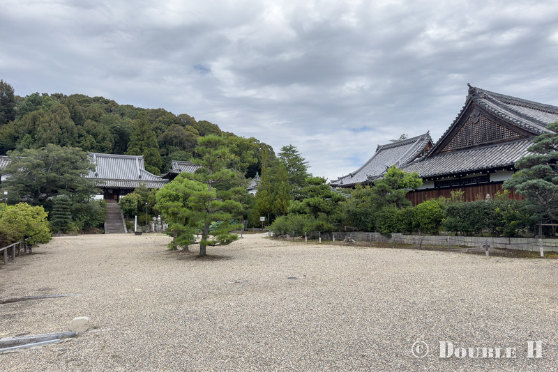 TediousPhoto20260908F