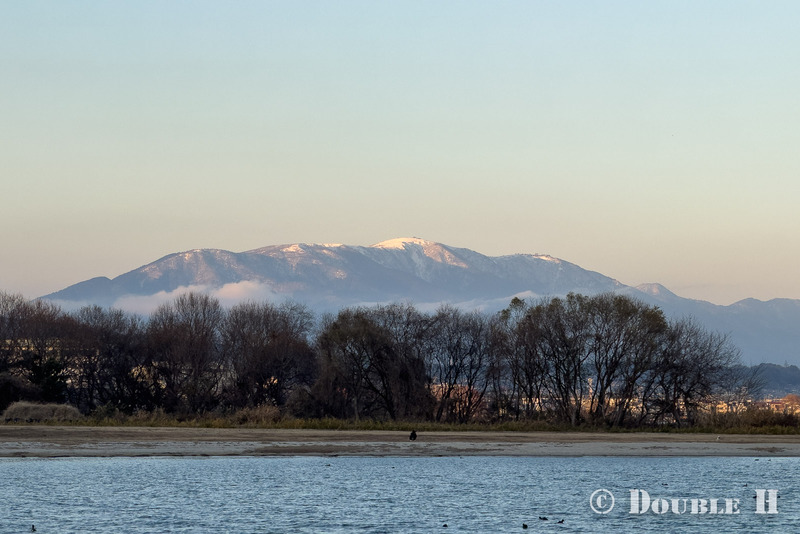 TediousPhoto20251228A