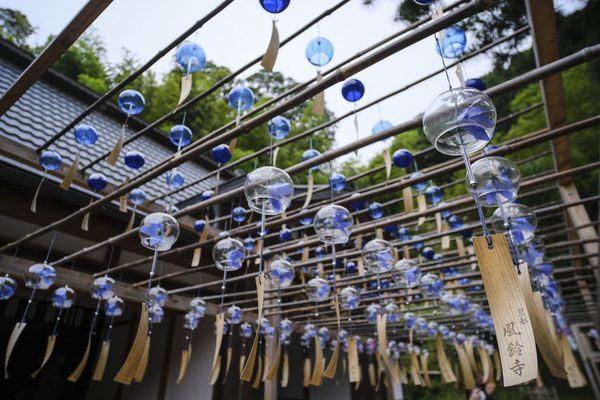 7Artisans12mmF2.8_Sample4