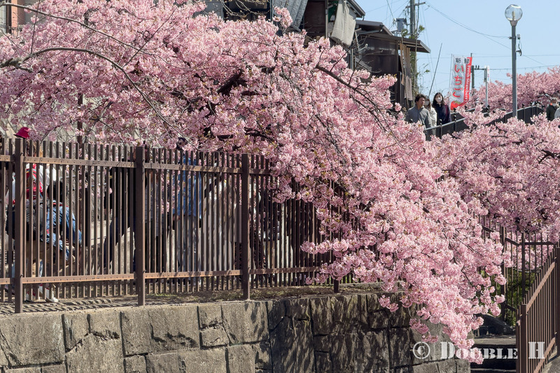 TediousPhoto20260313E