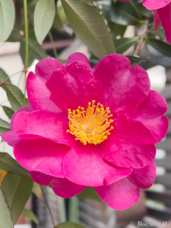 TediousPhoto20260203