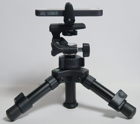 MCLAMP12
