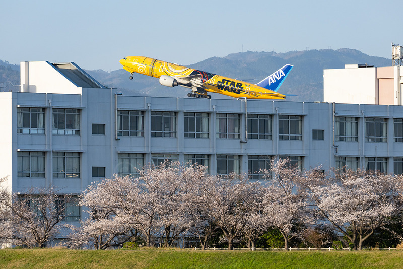 TediousPhoto20260108B