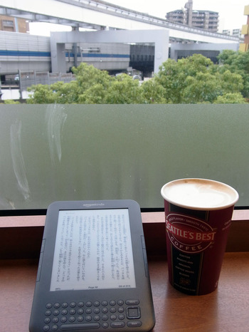 Kindle2Blog20101116B