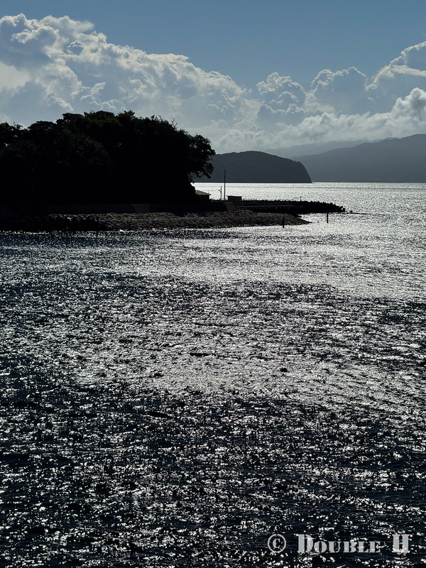 TediousPhoto20240919A