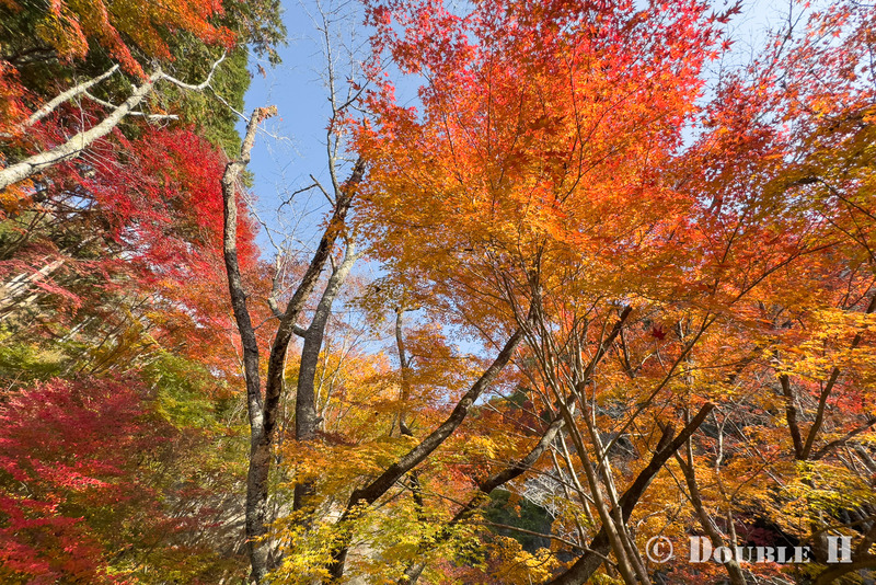 TediousPhoto20251127D