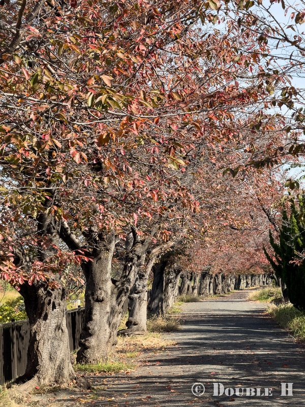 TediousPhoto20251209