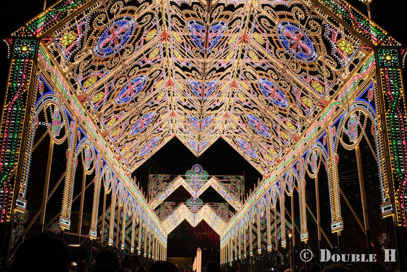 TediousPhoto20240128I