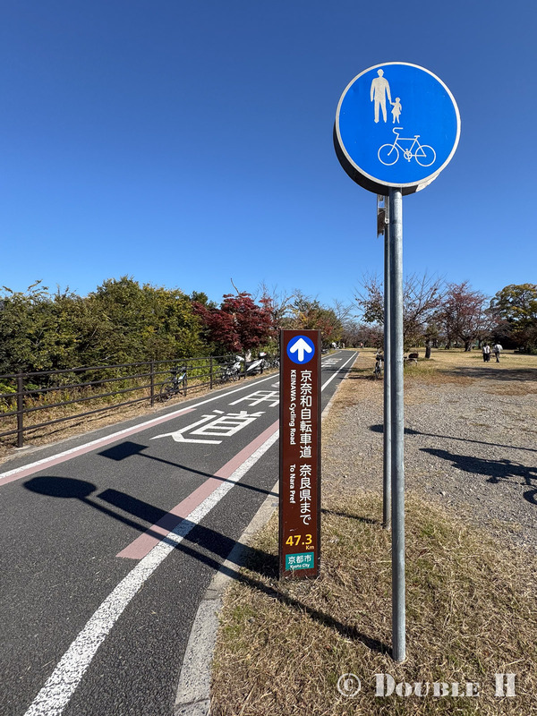 TediousPhoto20251119A