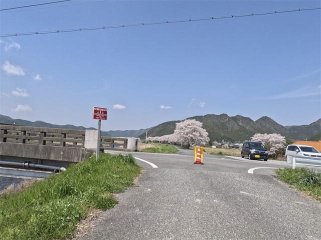 SakuraCycling2026HikamiKakogawaCapture14