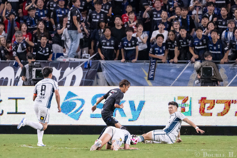 TediousPhoto20241112C