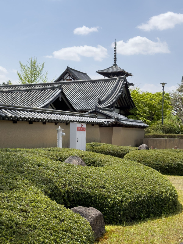 TediousPhoto20240424B