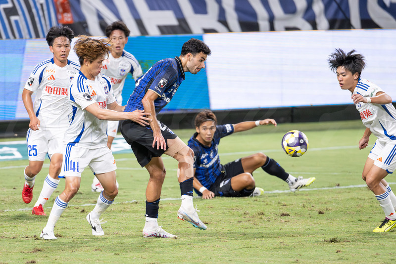 TediousPhoto20250928F