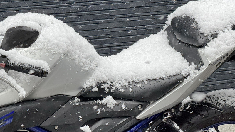 TediousPhoto20260208D