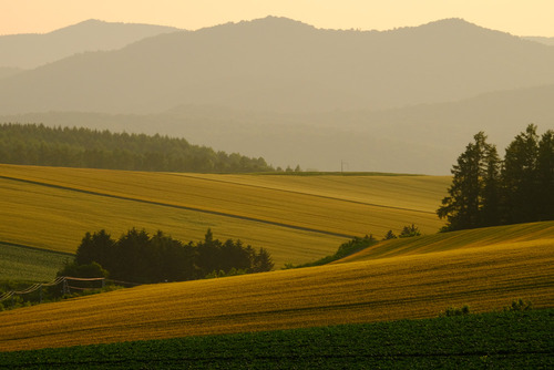 BlogUpload20140907_09_X-T1