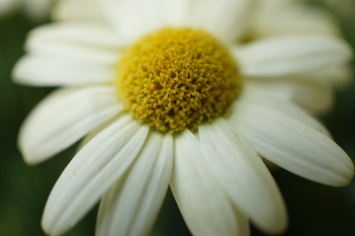 SIGMA30DN_E30MACRO_Compare3_Macro_E30ss