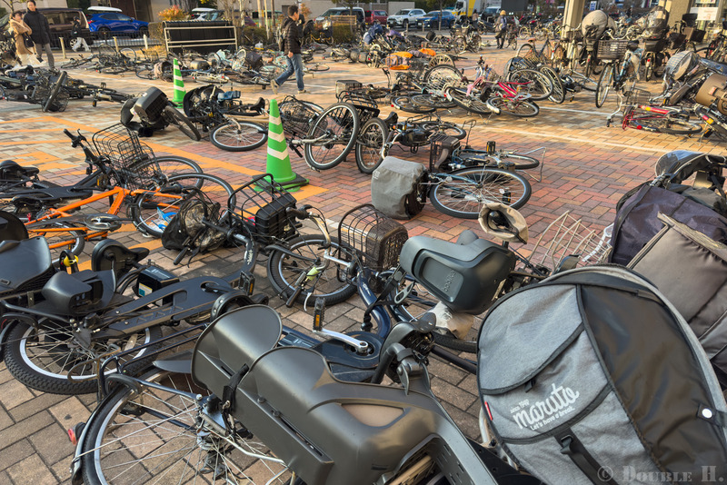 TediousPhoto202601025