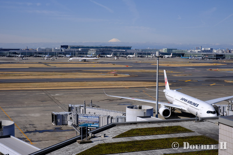 TediousPhoto20240309